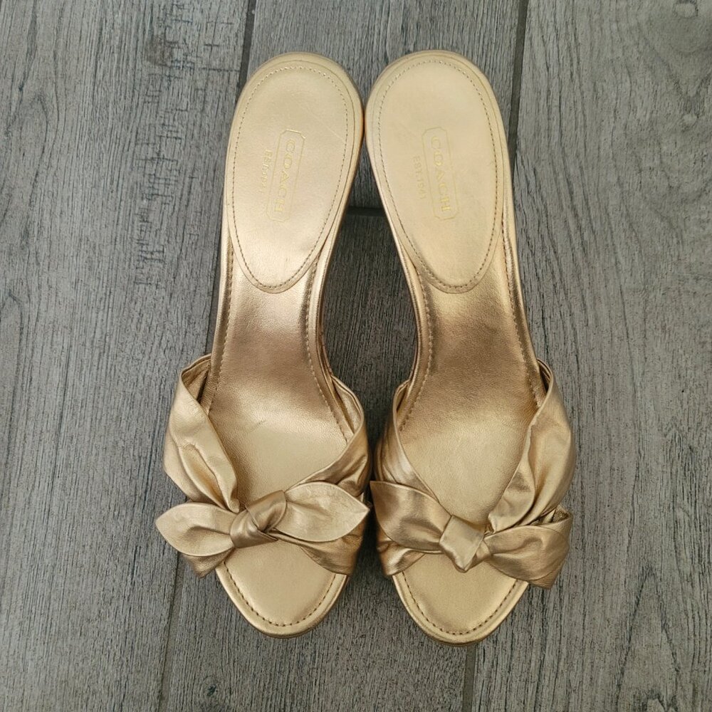 Coach shoe